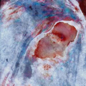 God's Self Portrait