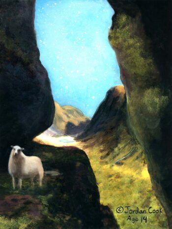 Lost Sheep