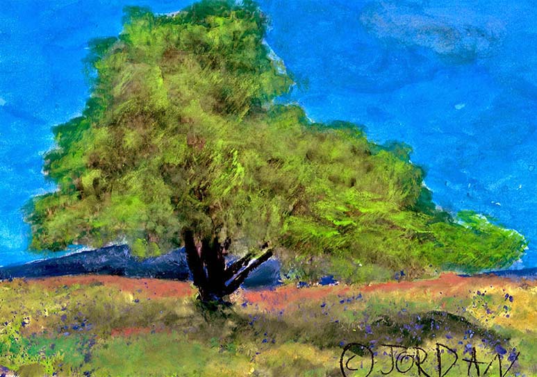 An olive tree in a field painted by 5-year-old Jordan A Cook.