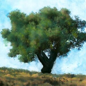 Yeshua Tree